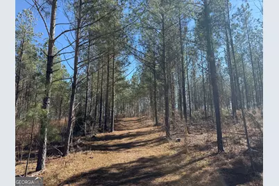 Truslow Central Durham Mill Road, Jeffersonville, GA 31044 - Photo 31