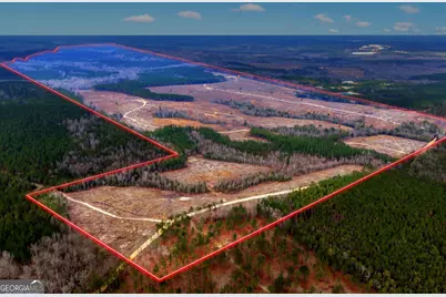 Truslow Central Durham Mill Road, Jeffersonville, GA 31044 - Photo 1