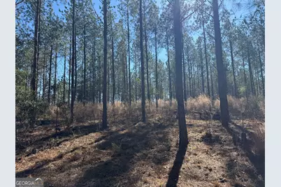 Truslow Central Durham Mill Road, Jeffersonville, GA 31044 - Photo 29