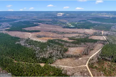 Truslow Central Durham Mill Road, Jeffersonville, GA 31044 - Photo 21