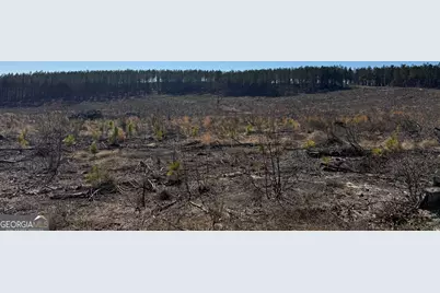 Truslow Central Durham Mill Road, Jeffersonville, GA 31044 - Photo 27