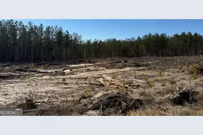 Truslow Central Durham Mill Road, Jeffersonville, GA 31044 - Photo 47