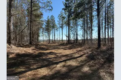 Truslow Central Durham Mill Road, Jeffersonville, GA 31044 - Photo 41