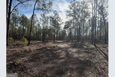 Truslow South Durham Mill Road, Jeffersonville, GA 31044 - Photo 5