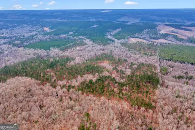 Truslow South Durham Mill Road, Jeffersonville, GA 31044 - Photo 45