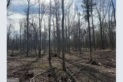 Truslow South Durham Mill Road, Jeffersonville, GA 31044 - Photo 11