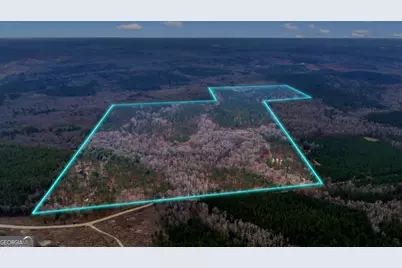 Truslow South Durham Mill Road, Jeffersonville, GA 31044 - Photo 1