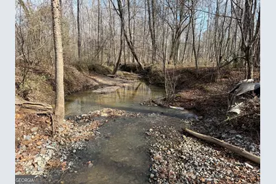 Truslow South Durham Mill Road, Jeffersonville, GA 31044 - Photo 3