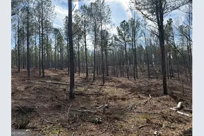 Truslow South Durham Mill Road, Jeffersonville, GA 31044 - Photo 27