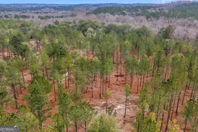 Truslow South Durham Mill Road, Jeffersonville, GA 31044 - Photo 39