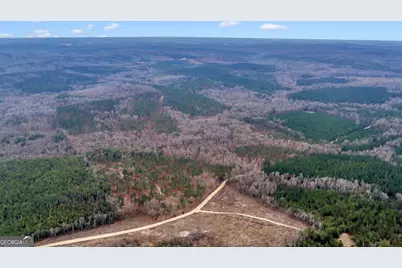 Truslow South Durham Mill Road, Jeffersonville, GA 31044 - Photo 49