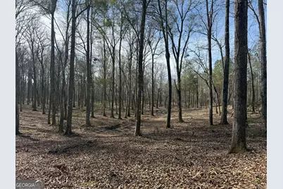 Truslow South Durham Mill Road, Jeffersonville, GA 31044 - Photo 13