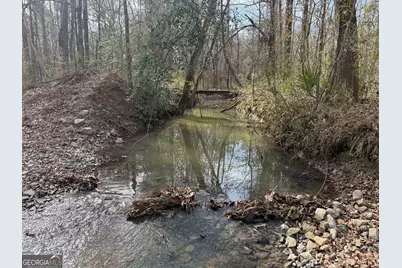 Truslow South Durham Mill Road, Jeffersonville, GA 31044 - Photo 17