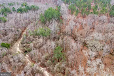 Truslow South Durham Mill Road, Jeffersonville, GA 31044 - Photo 33