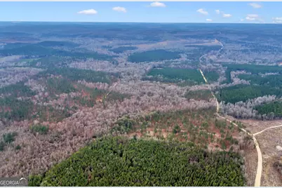 Truslow South Durham Mill Road, Jeffersonville, GA 31044 - Photo 47