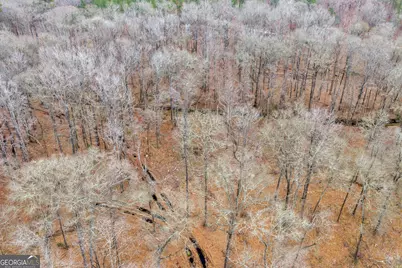 Truslow South Durham Mill Road, Jeffersonville, GA 31044 - Photo 35