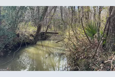 Truslow South Durham Mill Road, Jeffersonville, GA 31044 - Photo 19