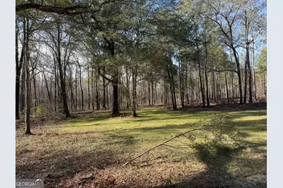 Truslow South Durham Mill Road, Jeffersonville, GA 31044 - Photo 9