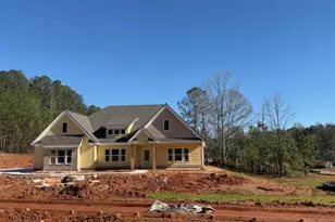 15 Turra Cove, Newnan, GA 30263 - Photo 21