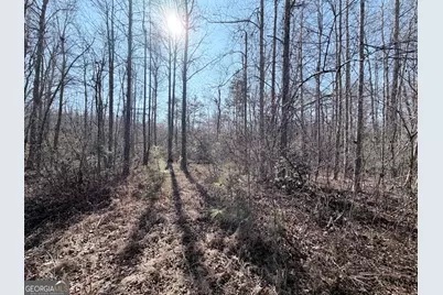 0 New Hope Road, Toccoa, GA 30577 - Photo 3