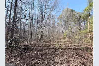 0 New Hope Road, Toccoa, GA 30577 - Photo 13