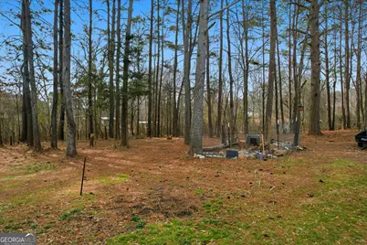 45 Roosevelt Street, Summerville, GA 30747 - Photo 23
