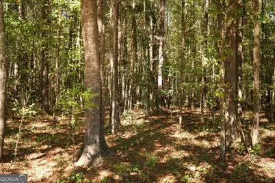 1092 Cooper Gin Road, Statham, GA 30666 - Photo 15