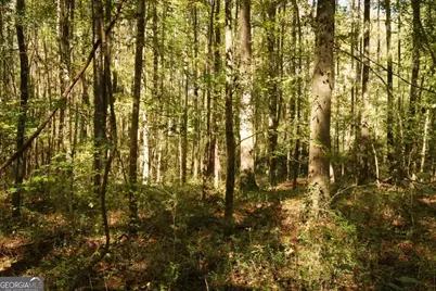 1092 Cooper Gin Road, Statham, GA 30666 - Photo 13