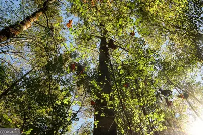 1092 Cooper Gin Road, Statham, GA 30666 - Photo 9