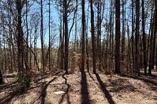 2487 S Carroll Ct, Villa Rica, GA 30180 - Photo 1