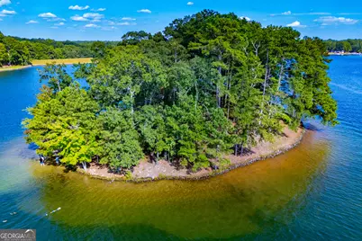 2487 S Carroll Court, Villa Rica, GA 30180 - Photo 43