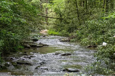 10323 Grassy Mountain Road, Ellijay, GA 30540 - Photo 63