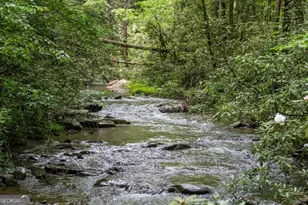 10323 Grassy Mountain Rd, Ellijay, GA 30540 - Photo 63