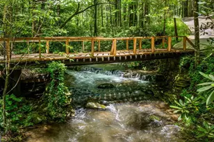 10323 Grassy Mountain Rd, Ellijay, GA 30540 - Photo 73