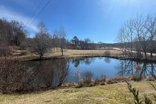 2072 State Hwy 66, Young Harris, GA 30582 - Photo 33