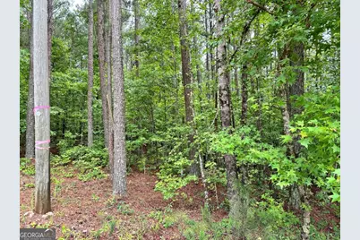 131 Ext Johnson Road, Locust Grove, GA 30248 - Photo 1