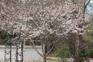 29 Mountain View Dr, Toccoa, GA 30577 - Photo 63