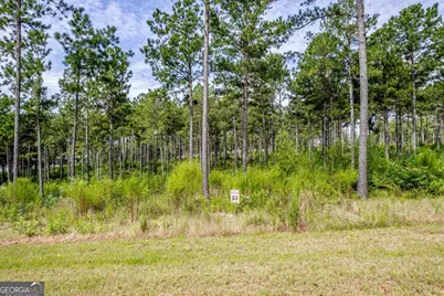 302 Wind Rock Ridge, Milledgeville, GA 31061 - Photo 3