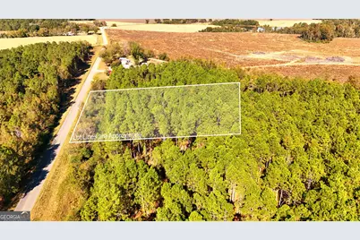 Lot 2 Middle Ground Church Road, Chester, GA 31012 - Photo 7
