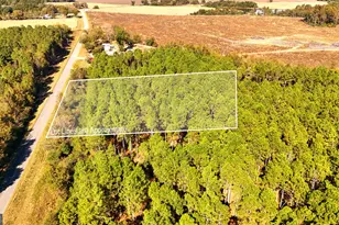 Lot 2 Middle Ground Church Rd, Chester, GA 31012 - Photo 7