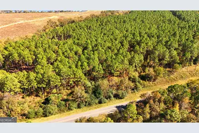 Lot 2 Middle Ground Church Road, Chester, GA 31012 - Photo 5