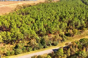 Lot 2 Middle Ground Church Rd, Chester, GA 31012 - Photo 5