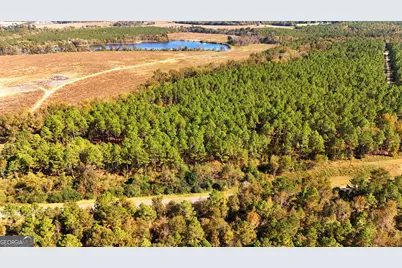 Lot 2 Middle Ground Church Road, Chester, GA 31012 - Photo 17