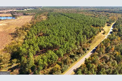 Lot 2 Middle Ground Church Road, Chester, GA 31012 - Photo 13