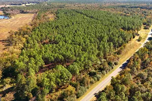 Lot 2 Middle Ground Church Rd, Chester, GA 31012 - Photo 13