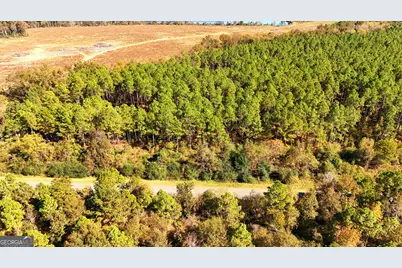 Lot 2 Middle Ground Church Road, Chester, GA 31012 - Photo 15