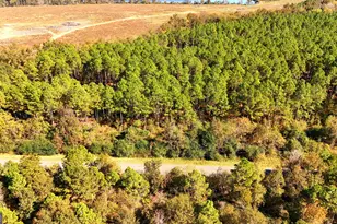 Lot 2 Middle Ground Church Rd, Chester, GA 31012 - Photo 15