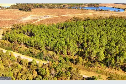 Lot 2 Middle Ground Church Road, Chester, GA 31012 - Photo 21
