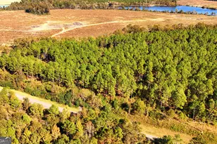 Lot 2 Middle Ground Church Rd, Chester, GA 31012 - Photo 21