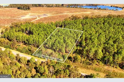 Lot 2 Middle Ground Church Road, Chester, GA 31012 - Photo 19